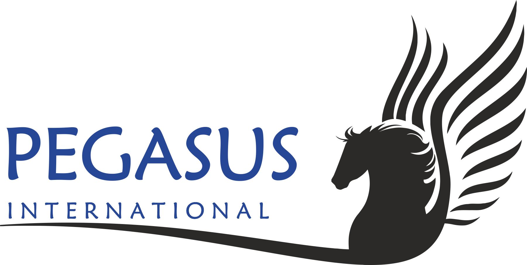 Pegasus International